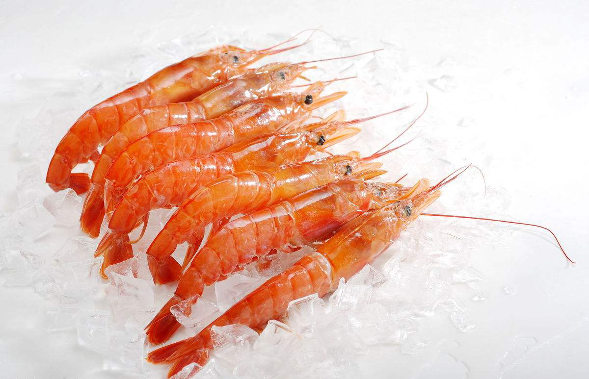 Argentine red shrimp